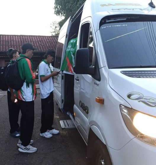 Tour turísticos en vans